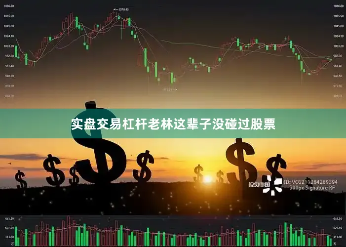 实盘交易杠杆老林这辈子没碰过股票