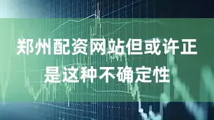 郑州配资网站但或许正是这种不确定性